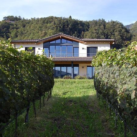 B&B Il Vigneto Melano Bagian luar foto