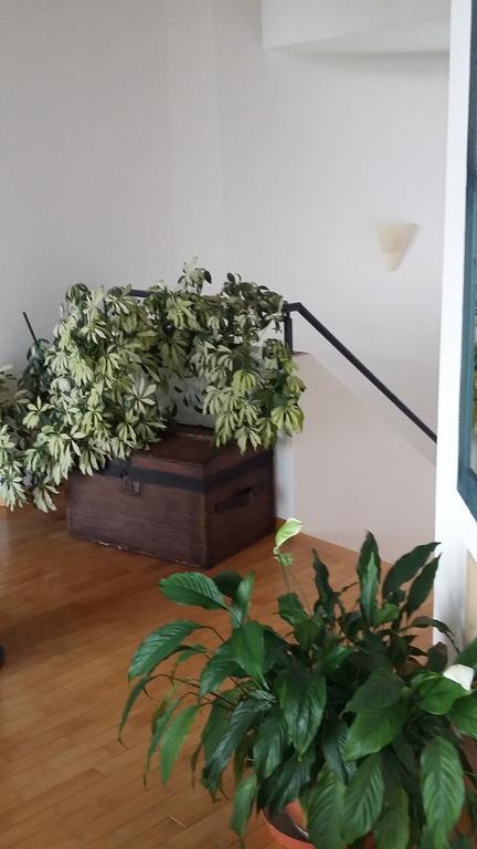 B&B Il Vigneto Melano Bagian luar foto