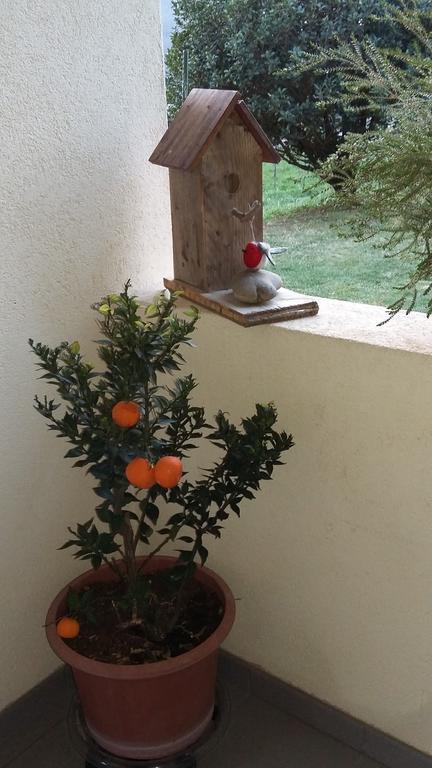 B&B Il Vigneto Melano Bagian luar foto